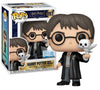 HARRY POTTER - POP Movies N° 197 - Harry avec Hedwige