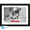 FILMS - GREMLINS - Collector Print 30X40 - Gizmo